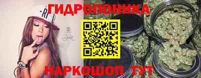 мдпв Дубна