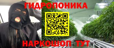 мдпв Дубна